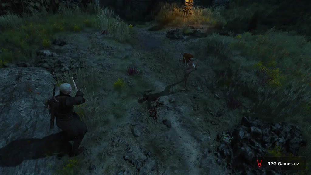 Geralt se stříbrným mečem proti alpě v předklonu na cestě v noci, Zaklínač 3 Toussaint
