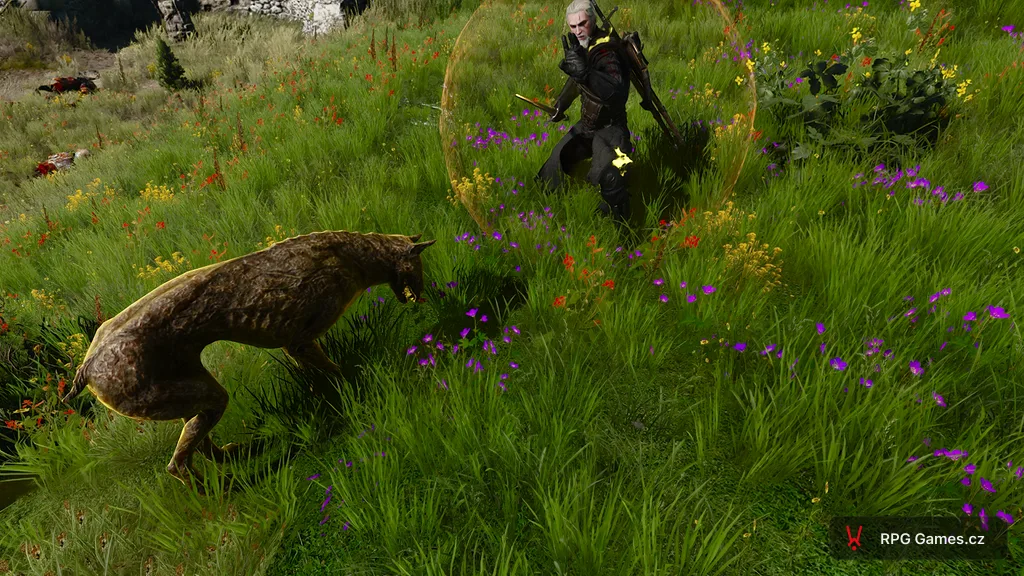 Geralt s aktivním Quenem proti barghestovi na květinové louce — oranžová štítová koule, přízračný pes, Zaklínač 3