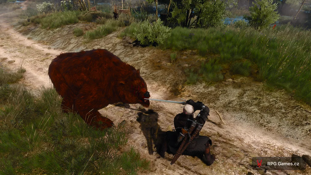 Geralt se stříbrným mečem proti berserkovi v podobě medvěda na lesní cestě na Skellige — Zaklínač 3