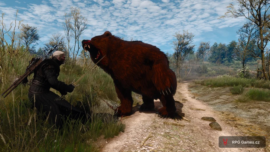Berserk v podobě medvěda útočí čelistí na Geralta se stříbrným mečem na cestě — Zaklínač 3