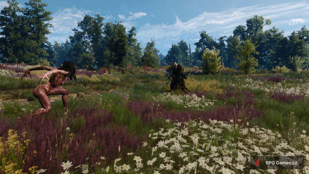 Bruxa v předklonu na louce s fialovým vřesem — bledá upířice s černými vlasy a dlouhými drápy, Geralt se stříbrným mečem, Zaklínač 3