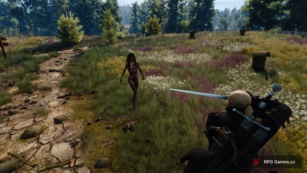 Geralt se stříbrným mečem proti bruxe na cestě u louky — bledá upířice s drápy, Toussaint, Zaklínač 3
