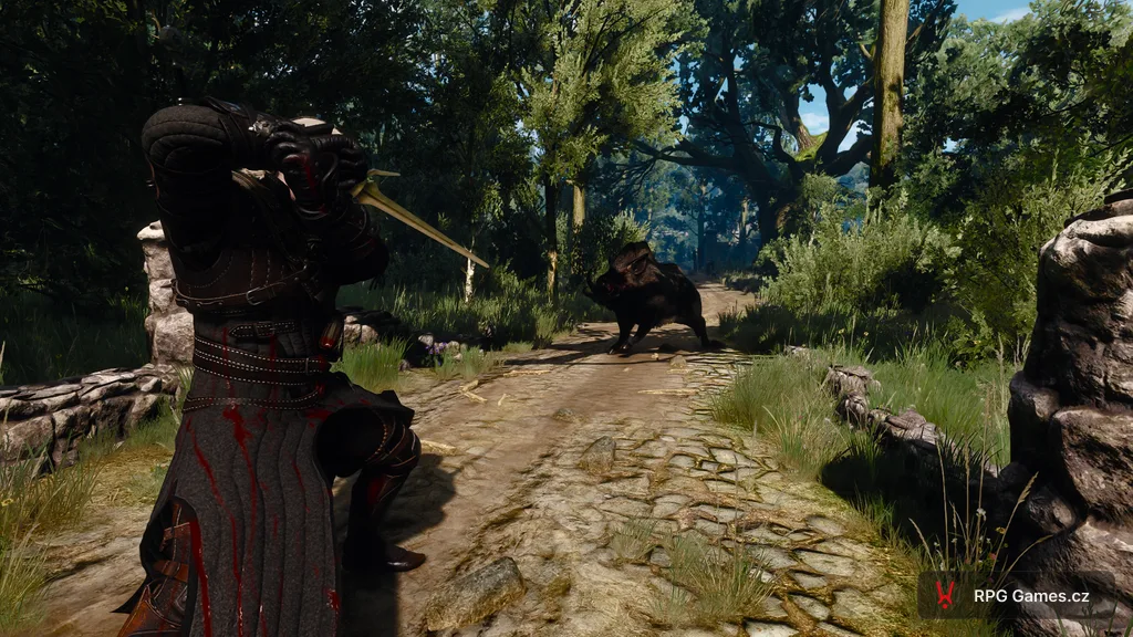 Geralt proti divočákovi na lesní cestě — kanec připravený k naběhnutí, Zaklínač 3