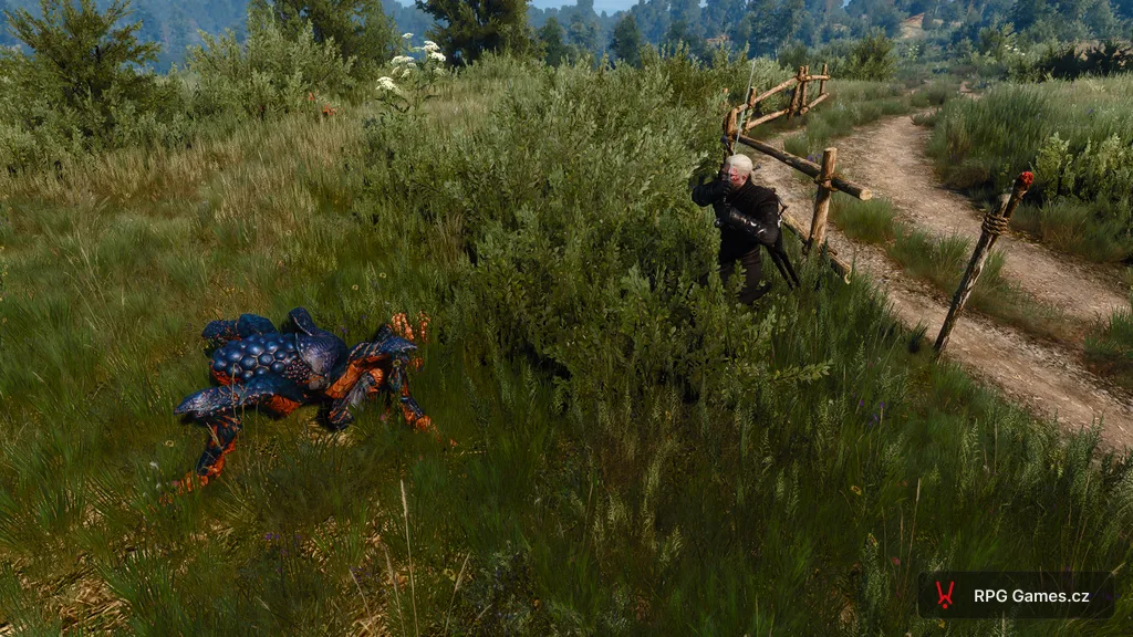Endriačí dělník v trávě u polní cesty, Geralt za keřem se stříbrným mečem — modrý krunýř a oranžový spodek, Zaklínač 3