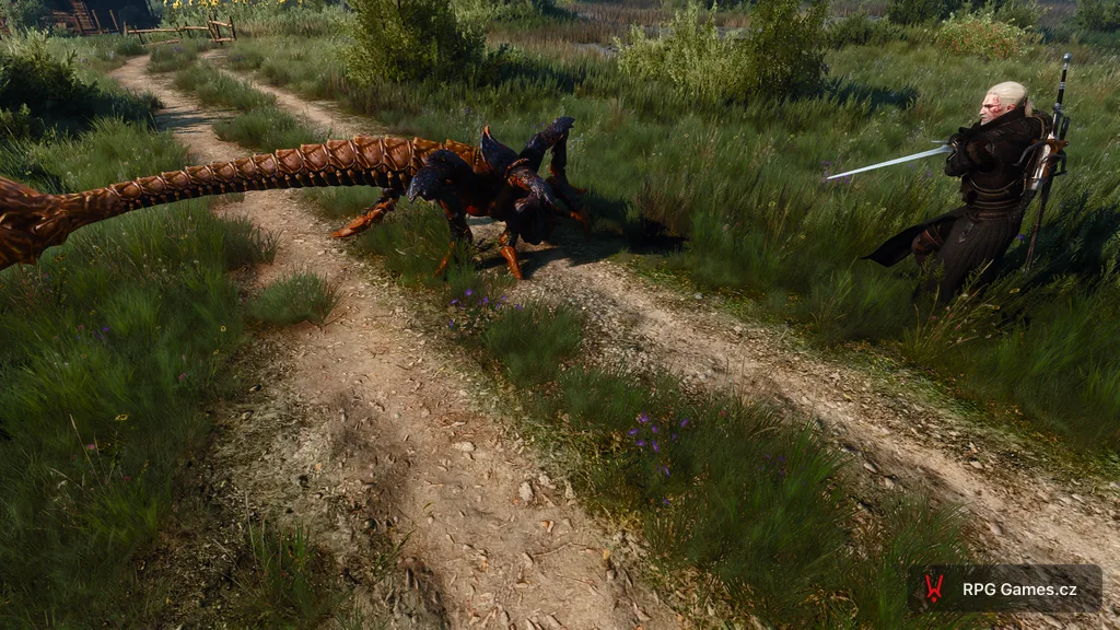 Geralt se stříbrným mečem proti endriačímu válečníkovi na polní cestě — kyjovitý ocas, Zaklínač 3