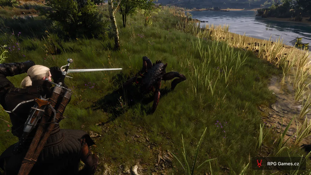 Geralt se stříbrným mečem proti kikimoří dělnici v trávě u řeky — nízký černý chitin, Zaklínač 3