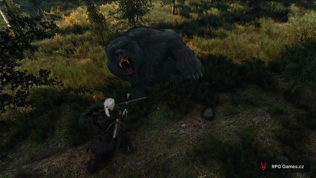 Geralt se stříbrným mečem proti velkému černému medvědovi v lesní mýtině — medvěd s otevřenou tlamou, Zaklínač 3