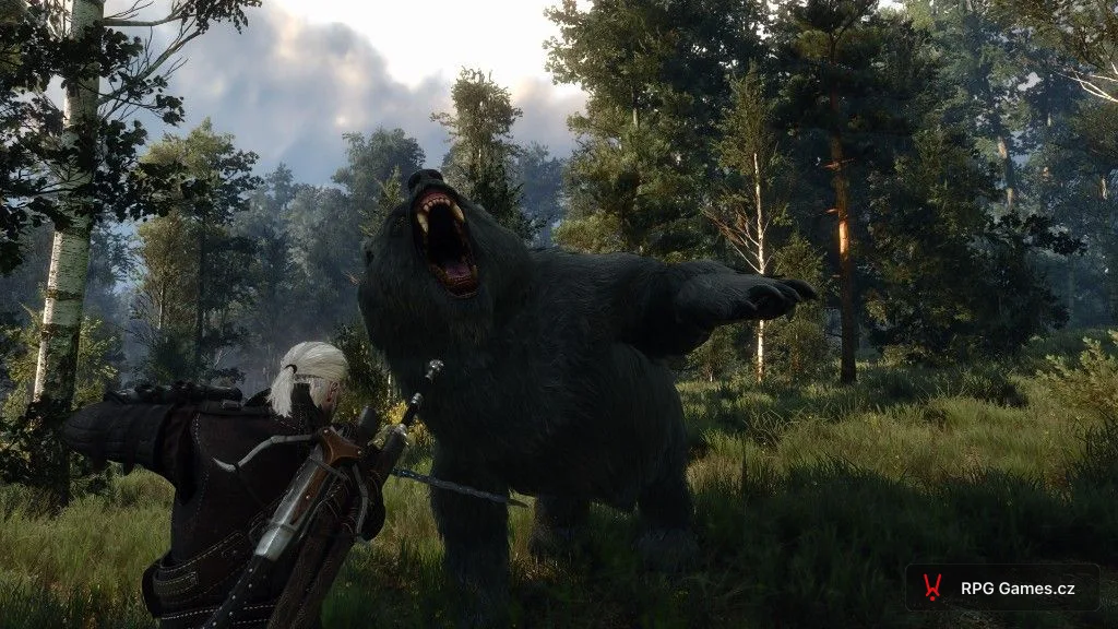 Geralt proti medvědovi stojícímu na zadních nohách s otevřenou tlamou v lese, Zaklínač 3