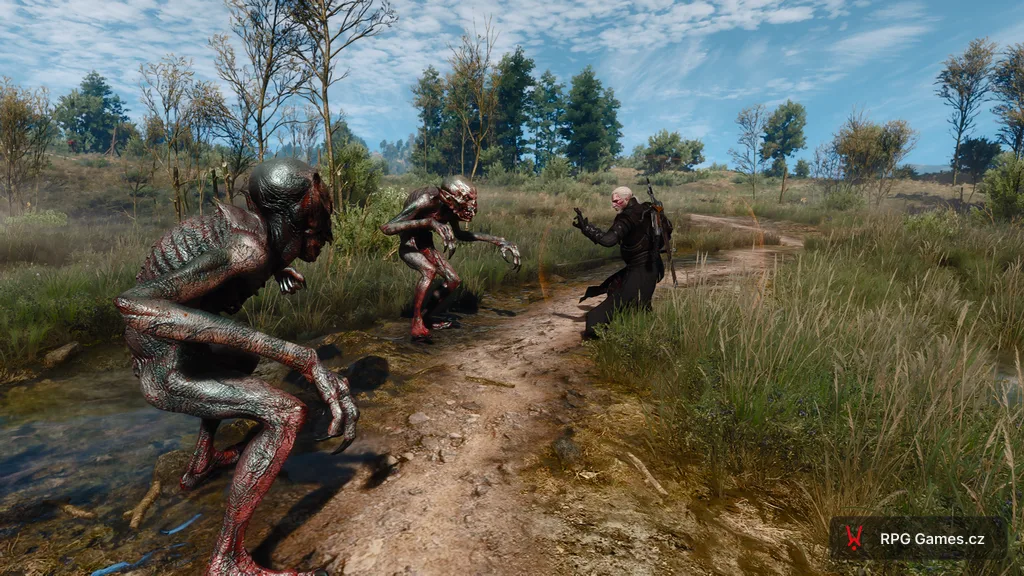 Geralt proti dvěma mlhavcům na louce u cesty — připravený k seslání znamení, Zaklínač 3