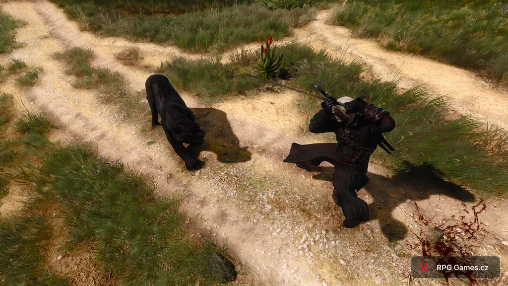 Geralt se stříbrným mečem proti černému panterovi na prašné cestě, Zaklínač 3 Toussaint