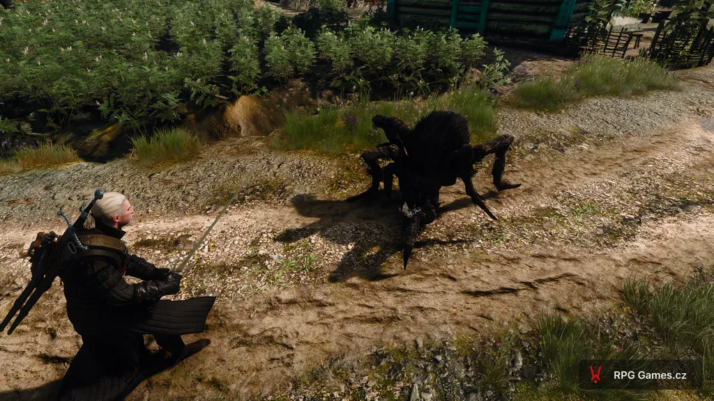Geralt se stříbrným mečem proti pavoukovci na polní cestě u plantáže — chlupaté tělo a dlouhé nohy, Zaklínač 3
