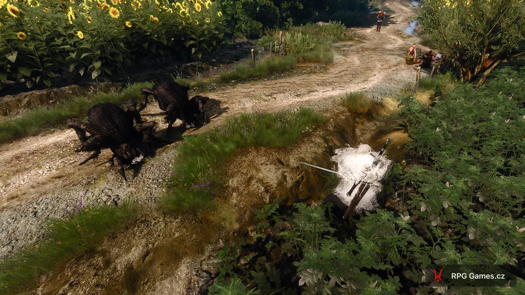 Geralt obalený pavučinou u cesty mezi slunečnicemi — dva pavoukovci v pozadí, Zaklínač 3