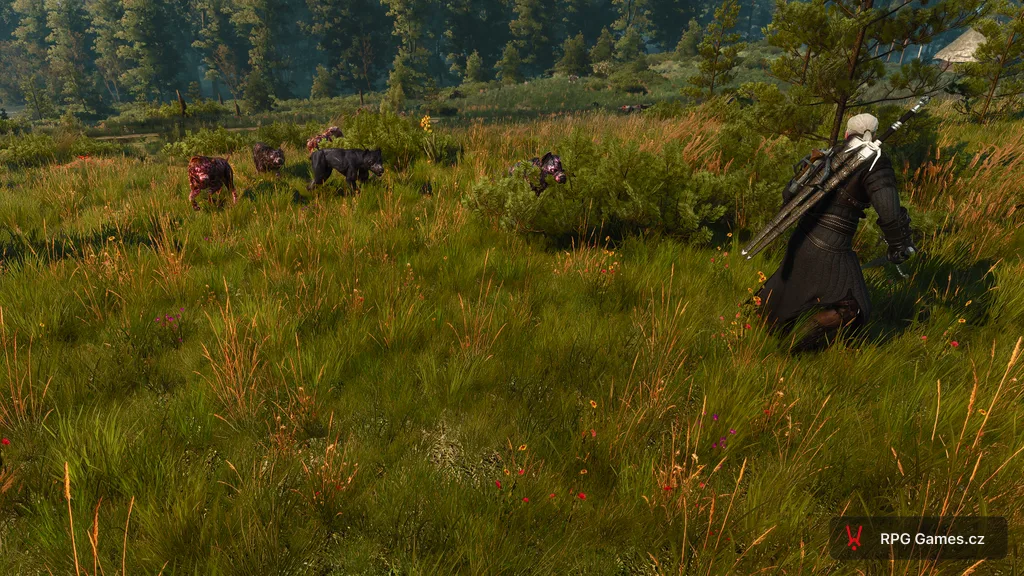 Geralt se stříbrným mečem proti smečce divokých psů na slunné louce — čtyři psi v trávě, Zaklínač 3