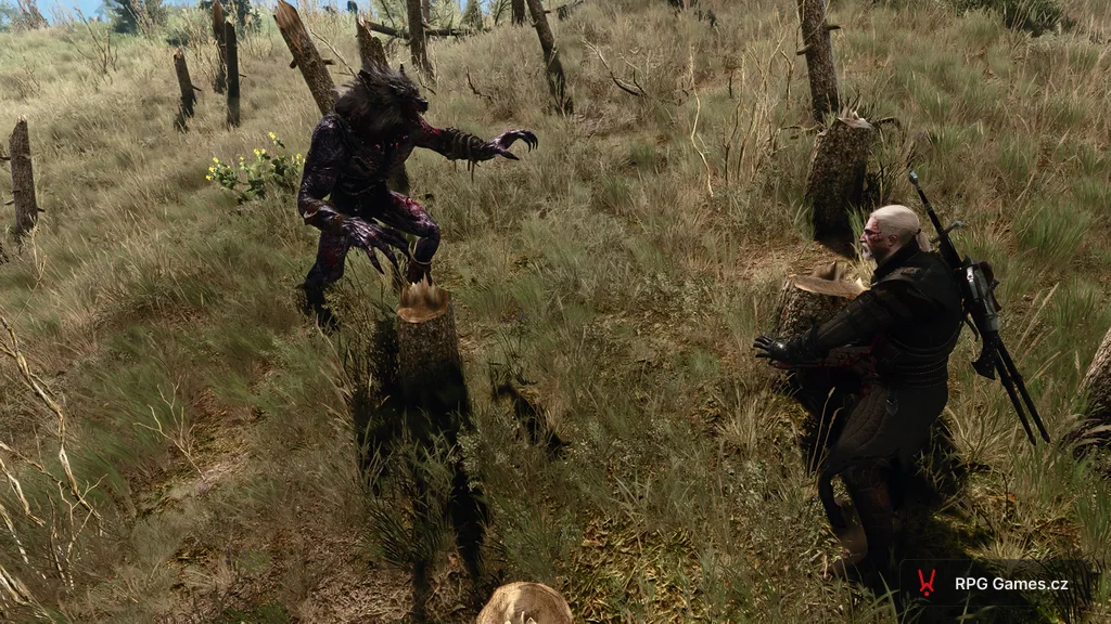 Geralt proti vlkodlakovi na mýtině u pařezů — lykantrop s drápy v útoku, Zaklínač 3