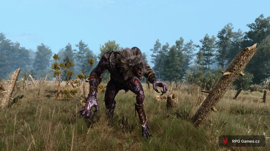 Vlkodlak v podřeném oblečení na mýtině u pařezů — Geralt proti lykantropovi ve Velenu, Zaklínač 3