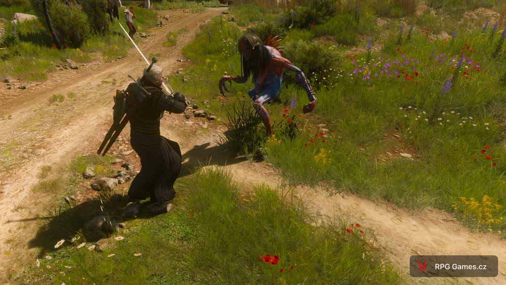 Geralt se stříbrným mečem proti vodnici na louce u cesty — nekrofág s dlouhými drápy, Zaklínač 3